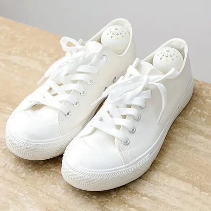 Bolas Desodorante Zapatillas